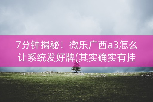7分钟揭秘！微乐广西a3怎么让系统发好牌(其实确实有挂)