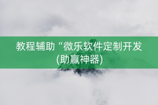 教程辅助“微乐软件定制开发(助赢神器)