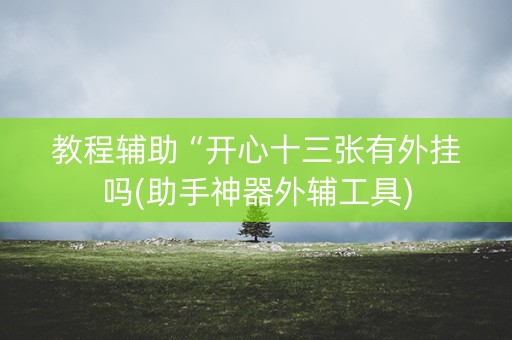 教程辅助“开心十三张有外挂吗(助手神器外辅工具)