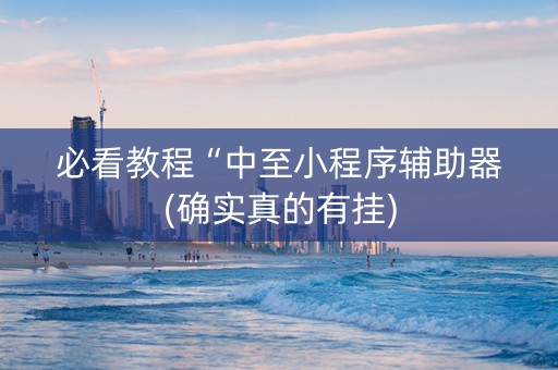 必看教程“中至小程序辅助器(确实真的有挂)