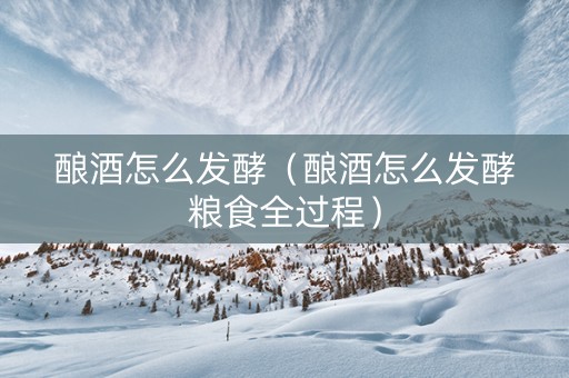酿酒怎么发酵（酿酒怎么发酵粮食全过程）