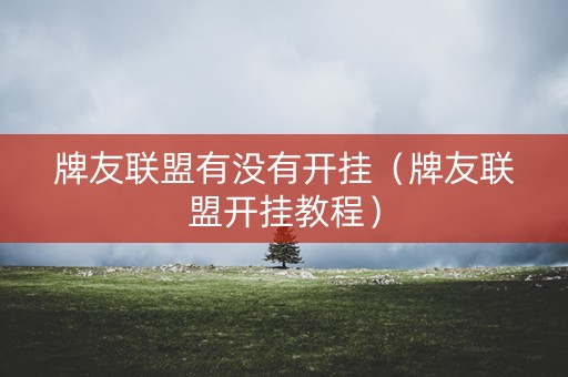 牌友联盟有没有开挂（牌友联盟开挂教程）