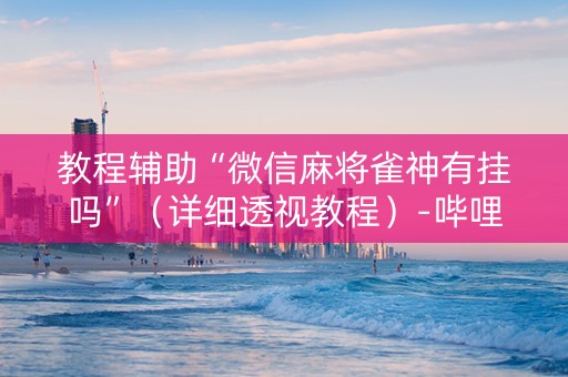 教程辅助“微信麻将雀神有挂吗”（详细透视教程）-哔哩哔哩