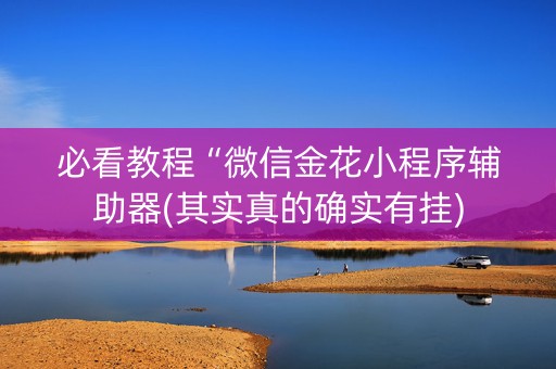 必看教程“微信金花小程序辅助器(其实真的确实有挂)