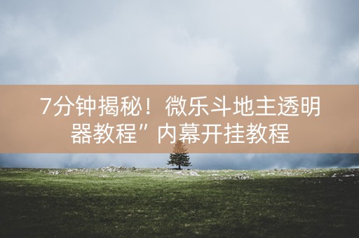 7分钟揭秘！微乐斗地主透明器教程”内幕开挂教程