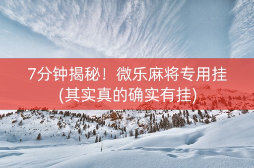 7分钟揭秘！微乐麻将专用挂(其实真的确实有挂)