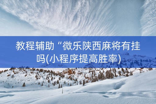 教程辅助“微乐陕西麻将有挂吗(小程序提高胜率)