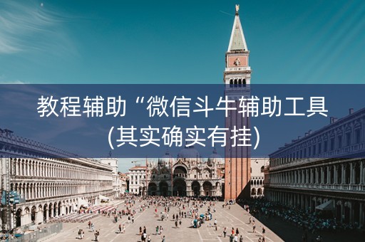 教程辅助“微信斗牛辅助工具(其实确实有挂)