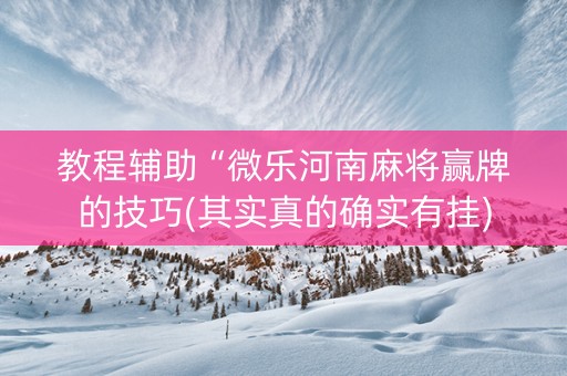 教程辅助“微乐河南麻将赢牌的技巧(其实真的确实有挂)