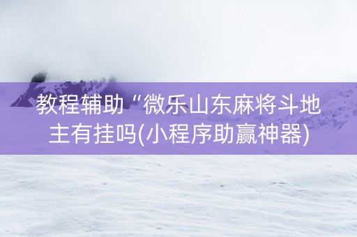 教程辅助“微乐山东麻将斗地主有挂吗(小程序助赢神器)