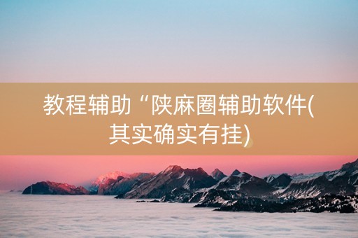 教程辅助“陕麻圈辅助软件(其实确实有挂)