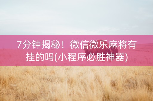 7分钟揭秘！微信微乐麻将有挂的吗(小程序必胜神器)