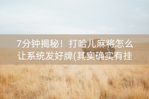 7分钟揭秘！打哈儿麻将怎么让系统发好牌(其实确实有挂)