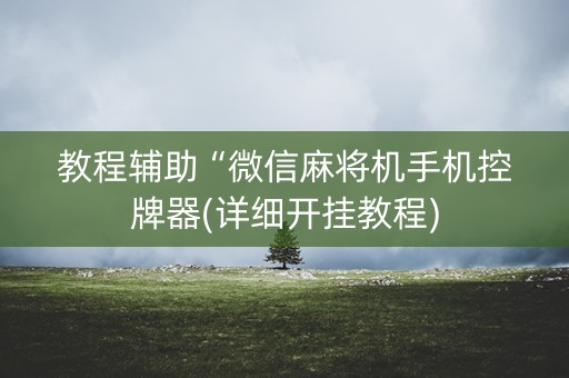 教程辅助“微信麻将机手机控牌器(详细开挂教程)