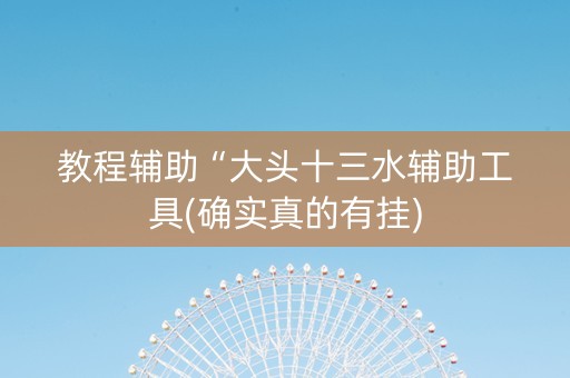 教程辅助“大头十三水辅助工具(确实真的有挂)