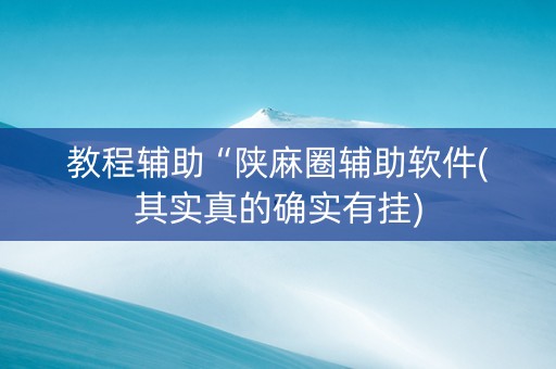教程辅助“陕麻圈辅助软件(其实真的确实有挂)