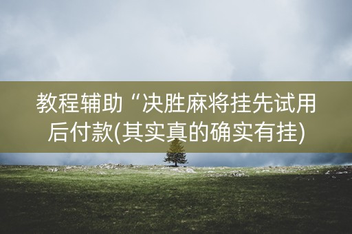 教程辅助“决胜麻将挂先试用后付款(其实真的确实有挂)