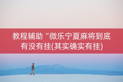 教程辅助“微乐宁夏麻将到底有没有挂(其实确实有挂)