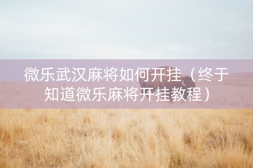 微乐武汉麻将如何开挂（终于知道微乐麻将开挂教程）