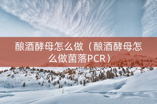 酿酒酵母怎么做（酿酒酵母怎么做菌落PCR）