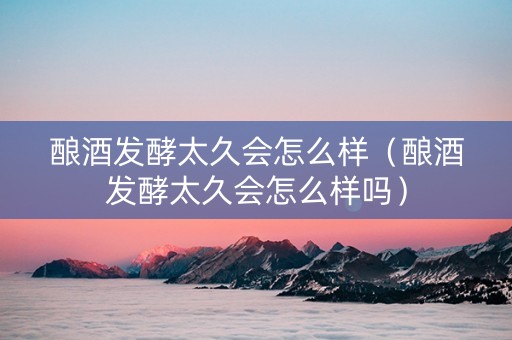 酿酒发酵太久会怎么样（酿酒发酵太久会怎么样吗）