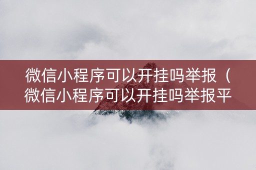 微信小程序可以开挂吗举报（微信小程序可以开挂吗举报平台）