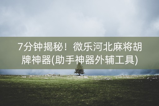 7分钟揭秘！微乐河北麻将胡牌神器(助手神器外辅工具)