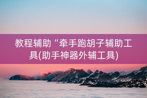 教程辅助“牵手跑胡子辅助工具(助手神器外辅工具)