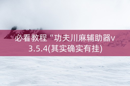 必看教程“功夫川麻辅助器v3.5.4(其实确实有挂)