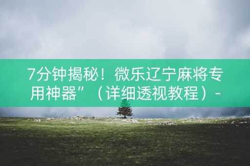 7分钟揭秘！微乐辽宁麻将专用神器”（详细透视教程）-哔哩哔哩