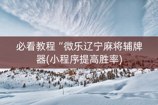 必看教程“微乐辽宁麻将辅牌器(小程序提高胜率)