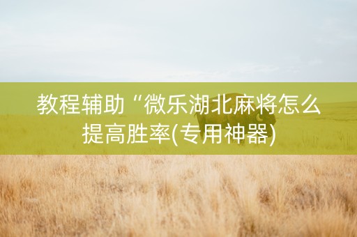 教程辅助“微乐湖北麻将怎么提高胜率(专用神器)