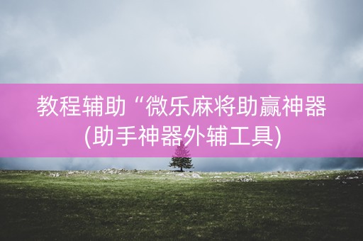 教程辅助“微乐麻将助赢神器(助手神器外辅工具)