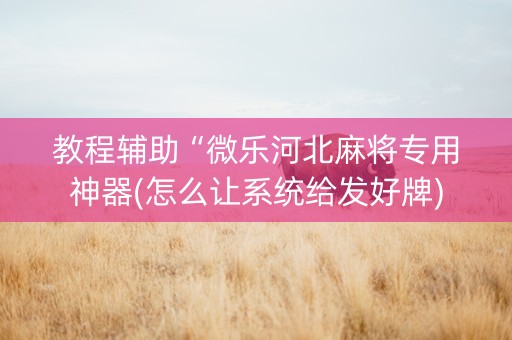 教程辅助“微乐河北麻将专用神器(怎么让系统给发好牌)