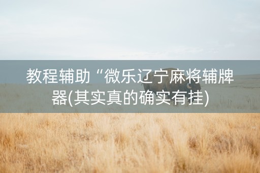 教程辅助“微乐辽宁麻将辅牌器(其实真的确实有挂)