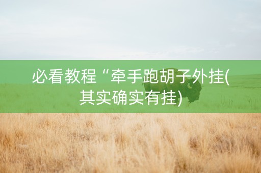必看教程“牵手跑胡子外挂(其实确实有挂)