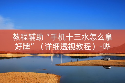 教程辅助“手机十三水怎么拿好牌”（详细透视教程）-哔哩哔哩