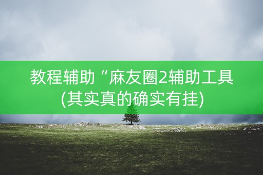 教程辅助“麻友圈2辅助工具(其实真的确实有挂)