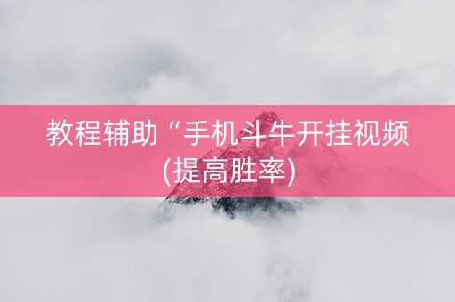 教程辅助“手机斗牛开挂视频(提高胜率)