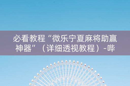 必看教程“微乐宁夏麻将助赢神器”（详细透视教程）-哔哩哔哩