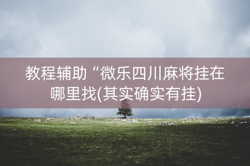 教程辅助“微乐四川麻将挂在哪里找(其实确实有挂)