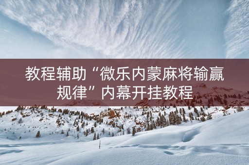 教程辅助“微乐内蒙麻将输赢规律”内幕开挂教程