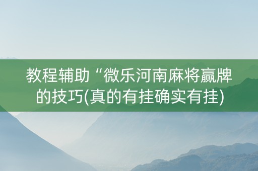 教程辅助“微乐河南麻将赢牌的技巧(真的有挂确实有挂)