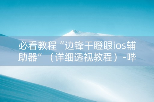 必看教程“边锋干瞪眼ios辅助器”（详细透视教程）-哔哩哔哩