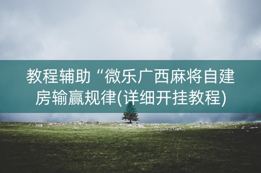 教程辅助“微乐广西麻将自建房输赢规律(详细开挂教程)