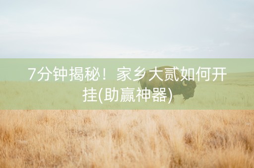 7分钟揭秘！家乡大贰如何开挂(助赢神器)