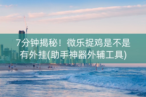 7分钟揭秘！微乐捉鸡是不是有外挂(助手神器外辅工具)