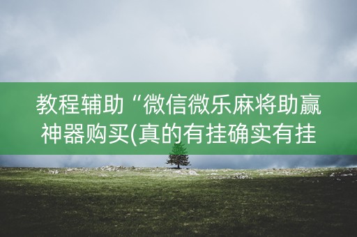 教程辅助“微信微乐麻将助赢神器购买(真的有挂确实有挂)