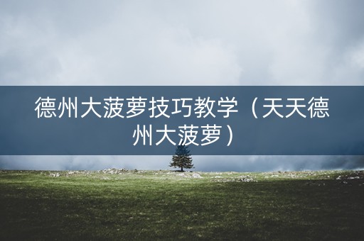 德州大菠萝技巧教学（天天德州大菠萝）