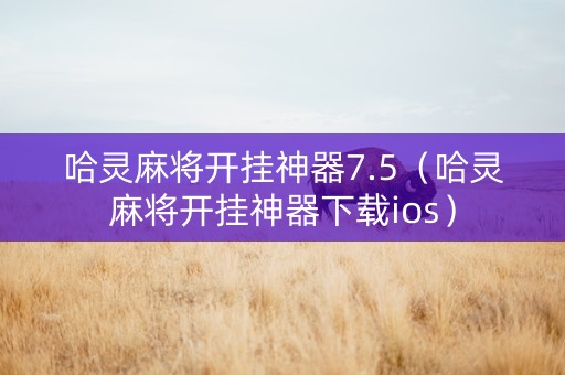 哈灵麻将开挂神器7.5（哈灵麻将开挂神器下载ios）